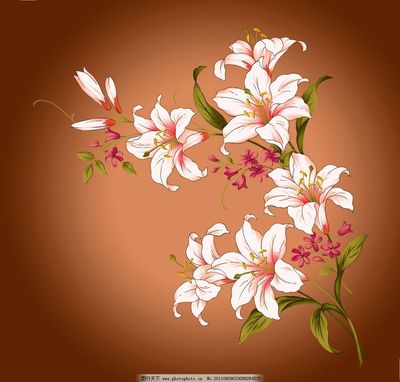 高雅绽放 百合花装饰艺术赏析